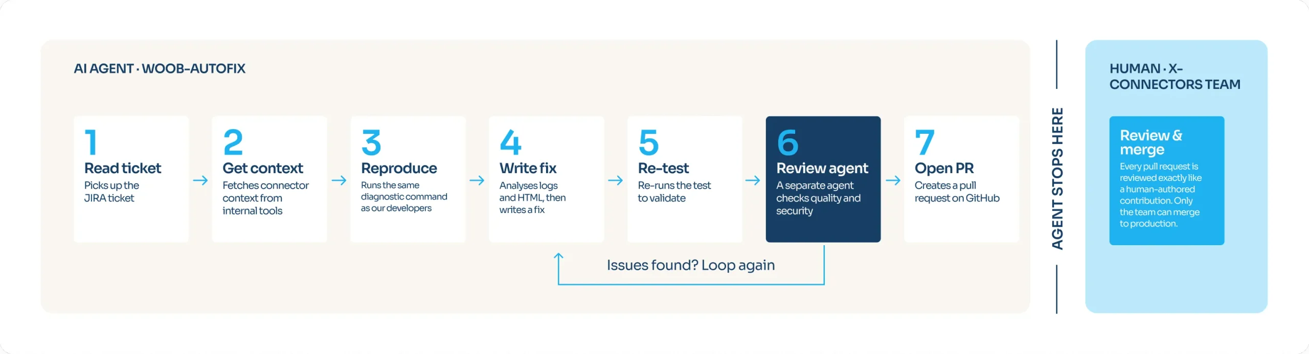 The visual shows the 7 agent steps from left to right, with a dashed loop from the review agent (step 6) back to “Write fix” (step 4). A dashed vertical line marked “Agent stops here” separates the agent from the human “Review & merge” card for the X-Connectors team. That handover is the most prominent part of the visual, since it carries the article’s point about keeping humans in control.